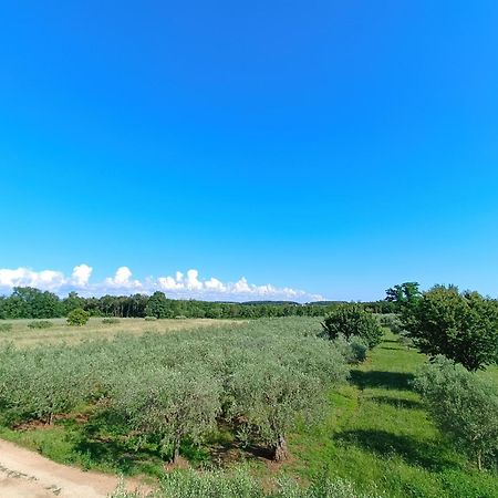 Apartman Ika Умаг Экстерьер фото